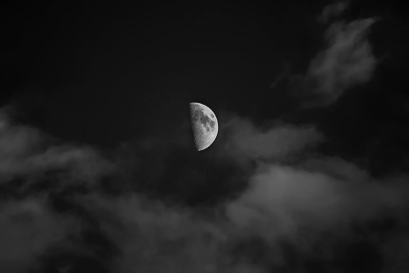 Alien Planet